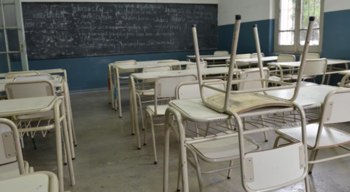 docentes