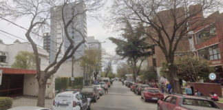 Tragedia en Quilmes: murió un bebé de 12 días tras ser golpeado por una palta que cayó de un árbol