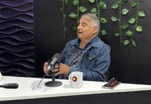 Edgardo Depetri: “El modelo exportador de materias primas que plantea Milei va a ser pagado sobre todo por el conurbano y la industria”